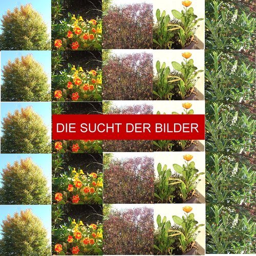 Sucht der Bilder.jpg